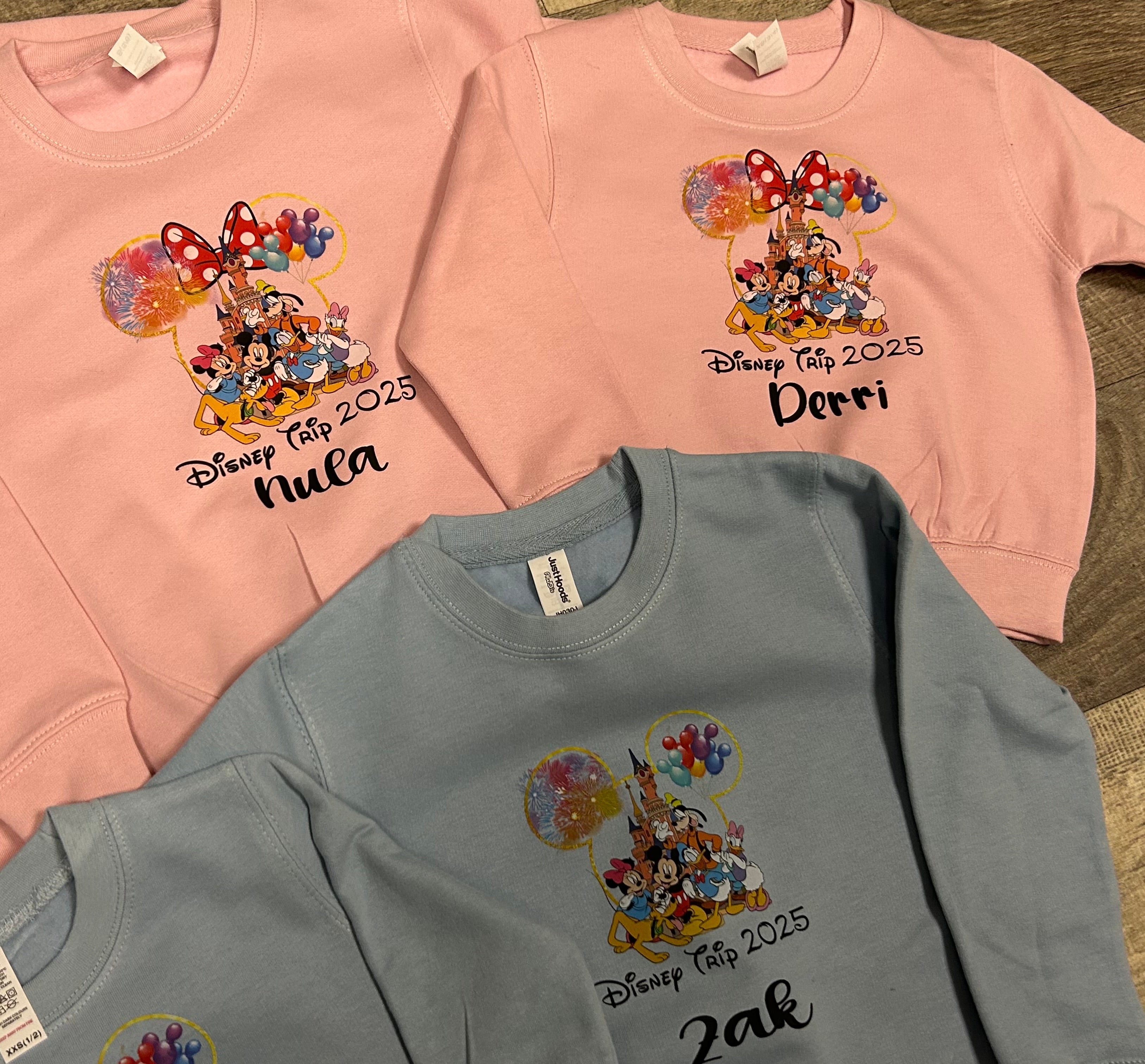 Disney 2025 sweatshirts