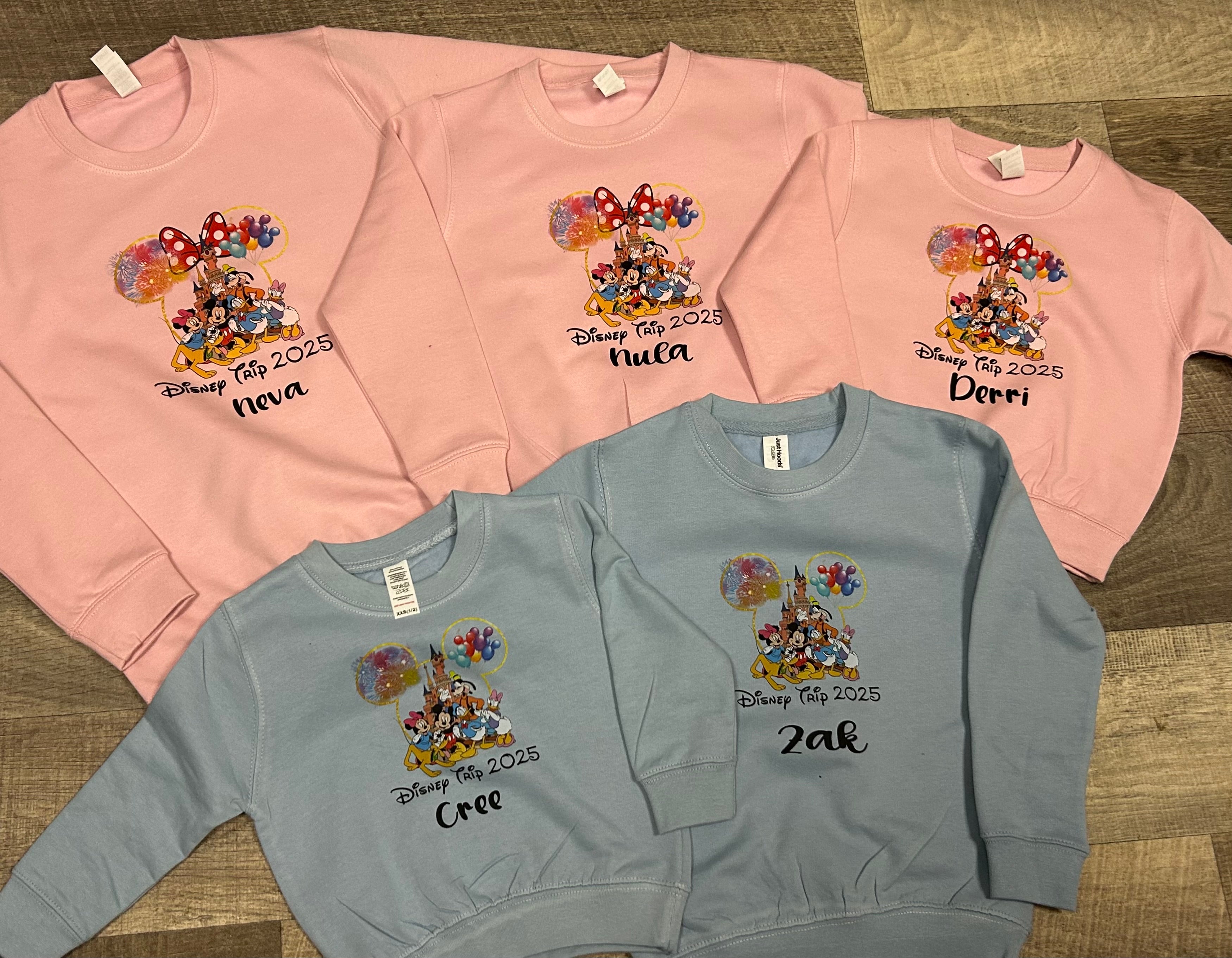 Disney 2025 sweatshirts