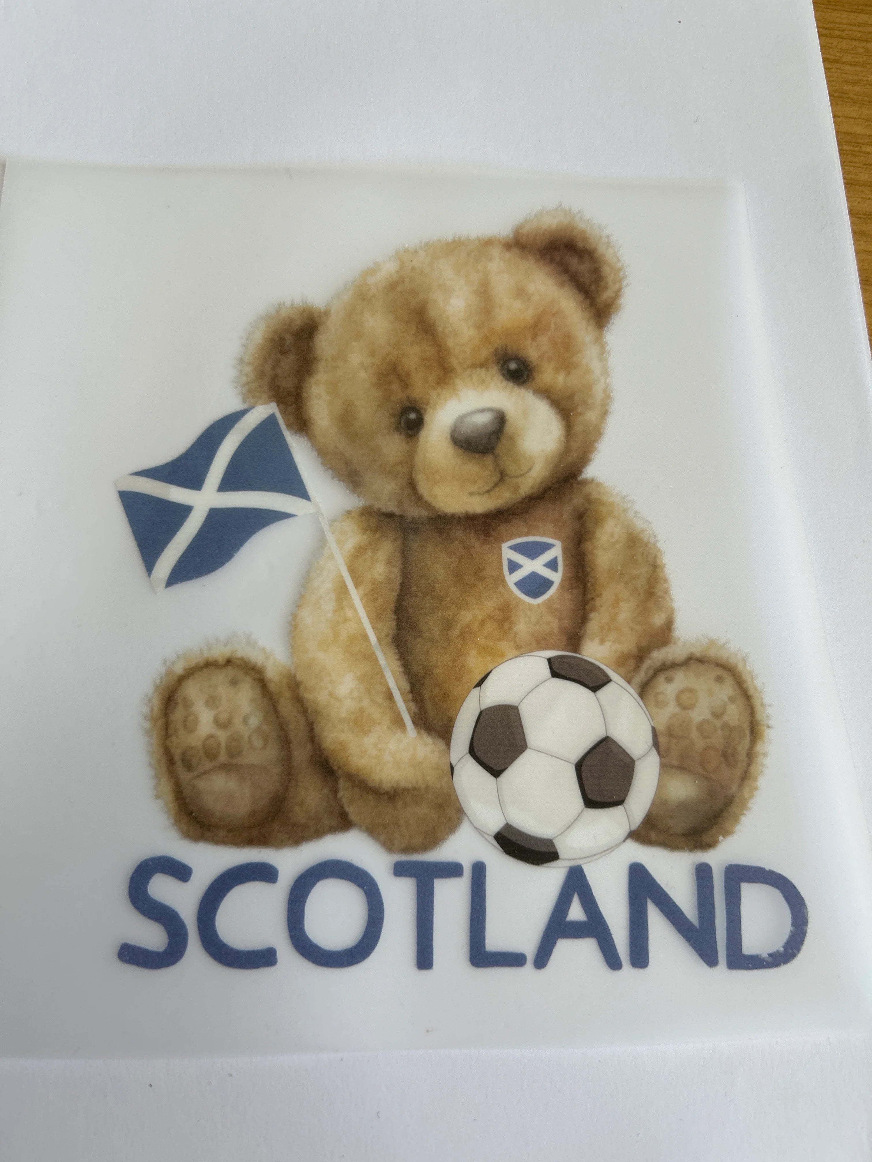 Scotland teddy print