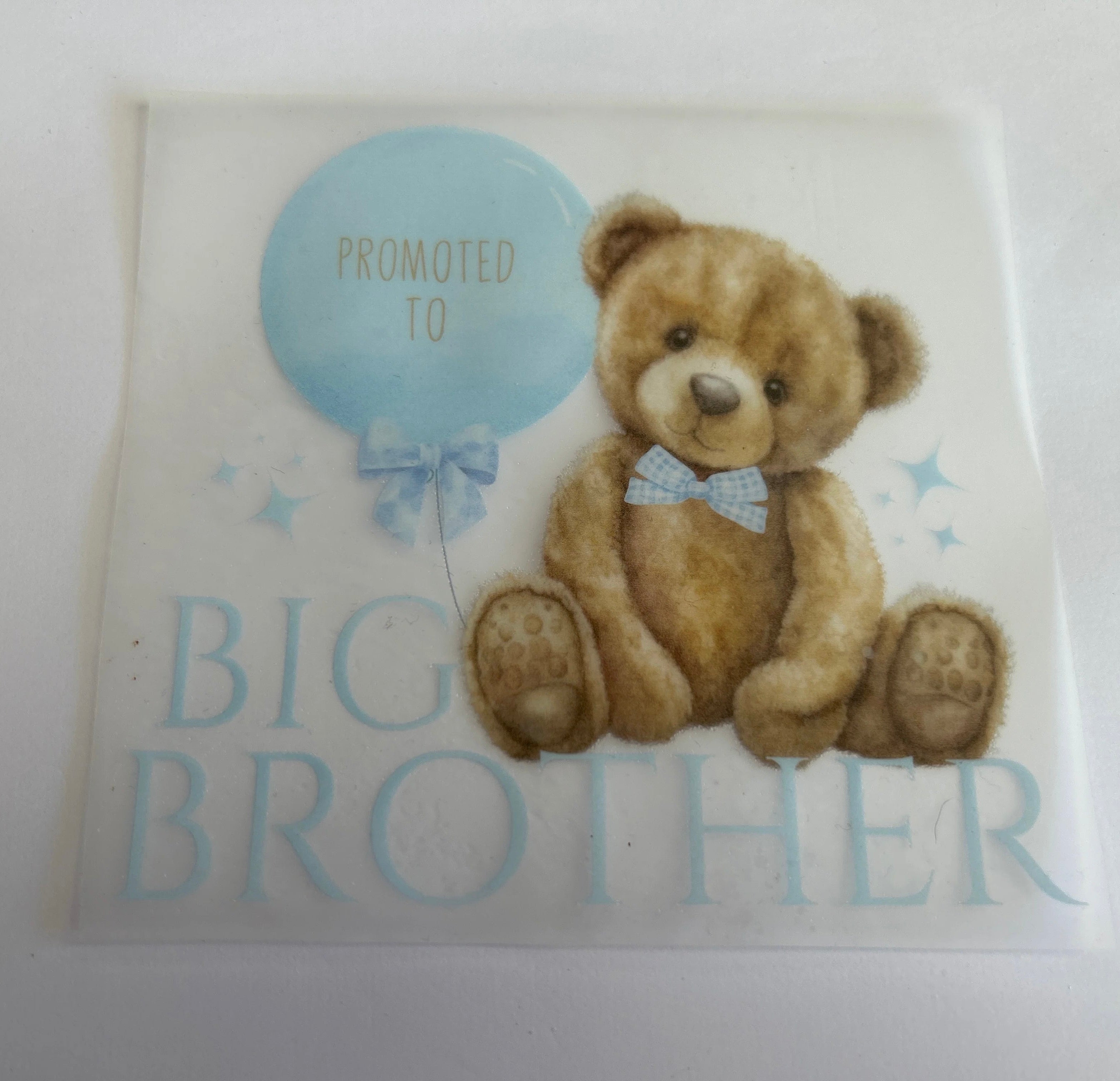 Big brother teddy print