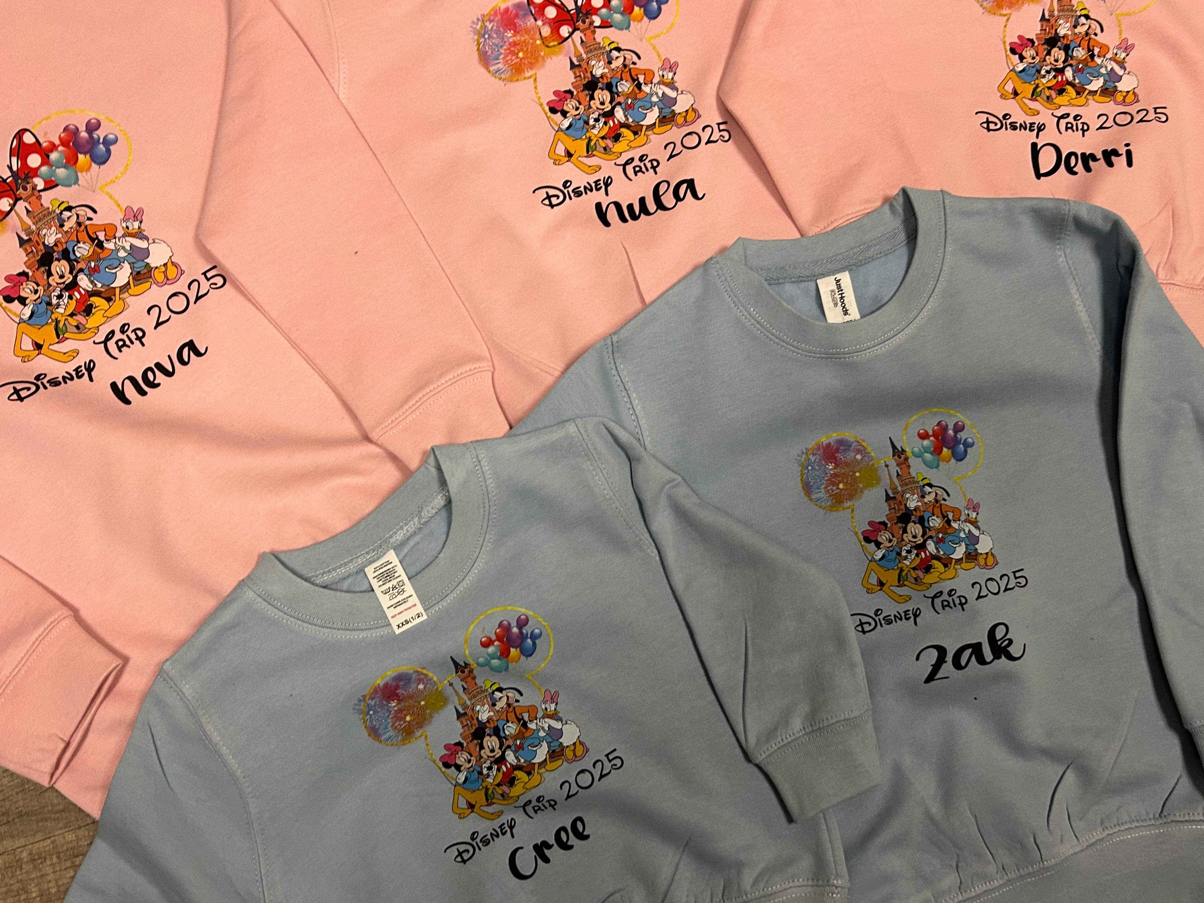 Disney 2025 sweatshirts